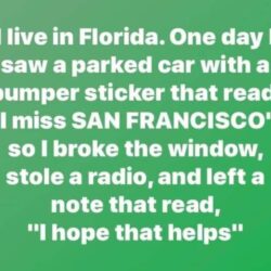 FB_IMG_1657219141751