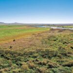 crazy-hole-creek-0141-1