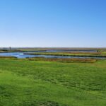 crazy-hole-creek-027