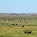 crazy-hole-creek-031