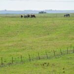 crazy-hole-creek-038