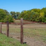 crazy-hole-creek-045-1