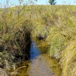 crazy-hole-creek-060