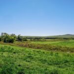 crazy-hole-creek-066