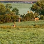 crazy-hole-creek-070